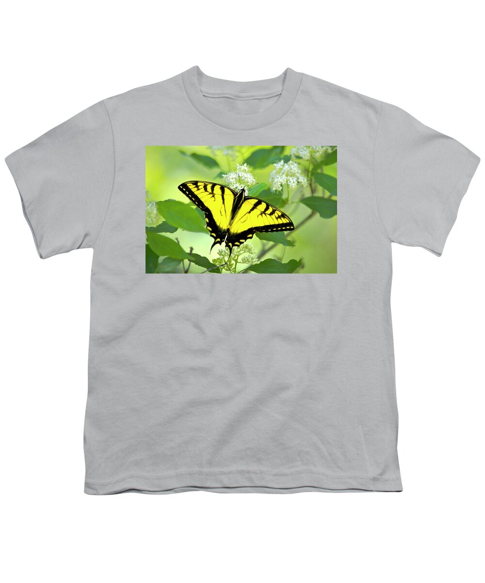 Swallowtail Butterfly Youth T-Shirt featuring the photograph Swallowtail Butterfly Feeding on Flowers by Christina Rollo