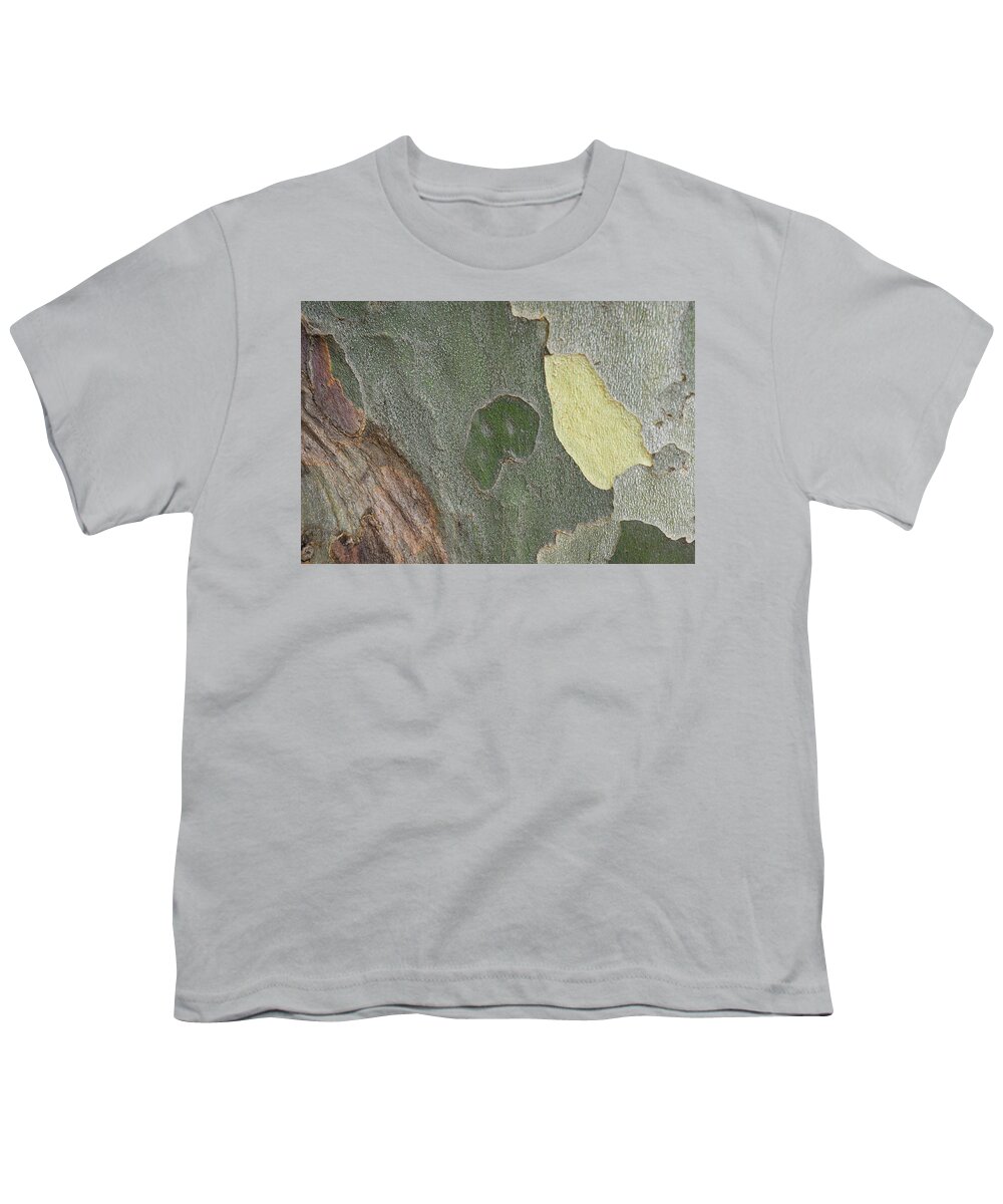 Australia Youth T-Shirt featuring the photograph Sycamore by Jay Heifetz