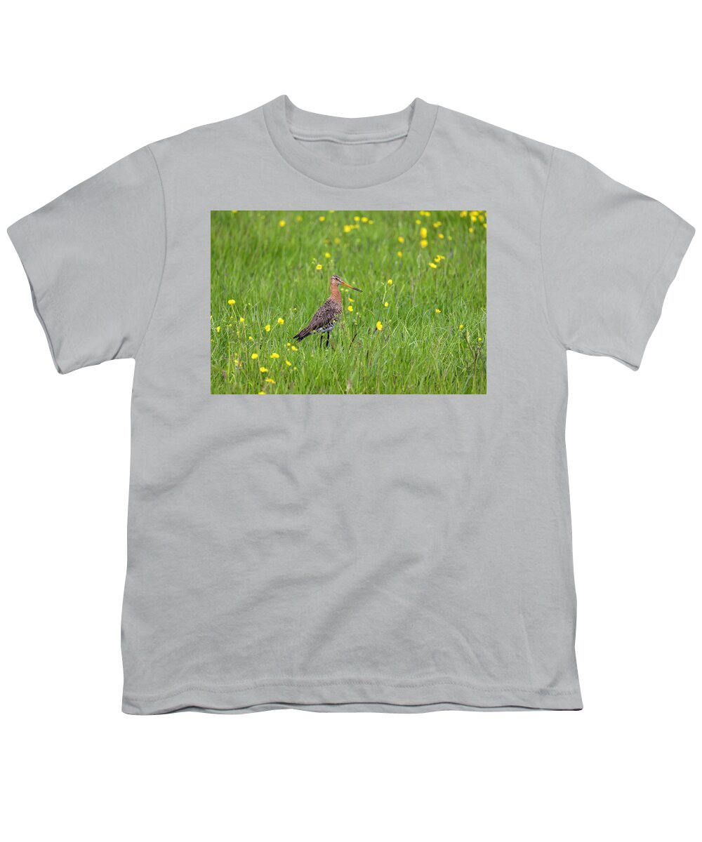 Nature Youth T-Shirt featuring the photograph The Meadow Bird The Godwit by MPhotographer