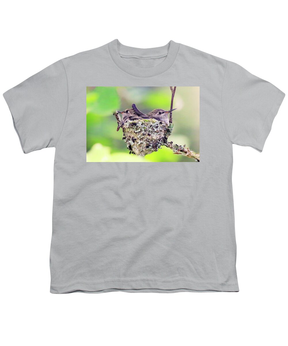 Fledging Anna's Hummingbirds Youth T-Shirt featuring the photograph Two Fledging Anna's Hummingbirds in a Nest by Shixing Wen