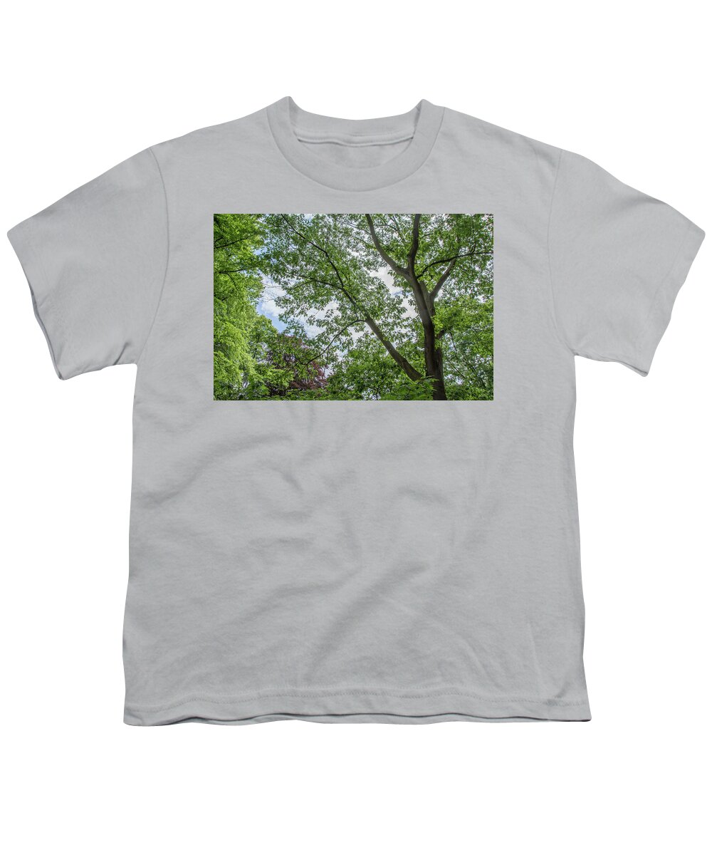 Waterlow Park Youth T-Shirt featuring the photograph Waterlow Park Trees Summer by Edmund Peston