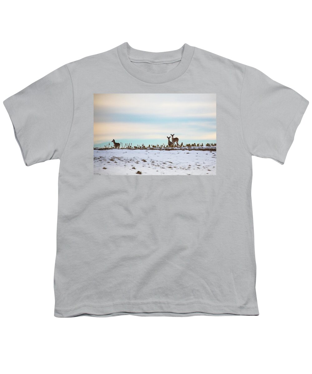 Deer Youth T-Shirt featuring the photograph Winter Whitetails by Denise Kopko
