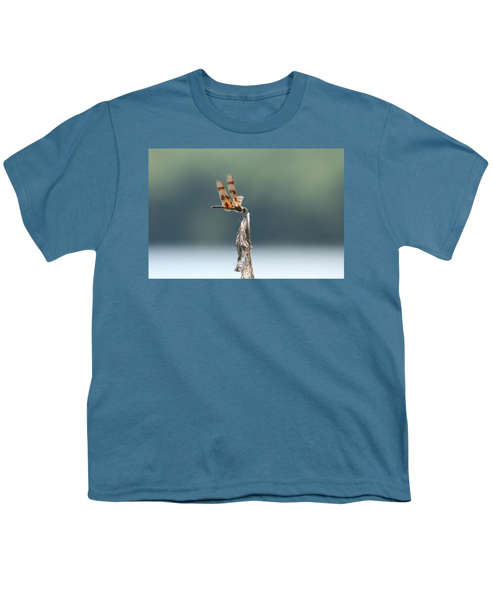 Dragonfly Art Youth T-Shirt featuring the photograph Perfect View #1 by Neal Eslinger