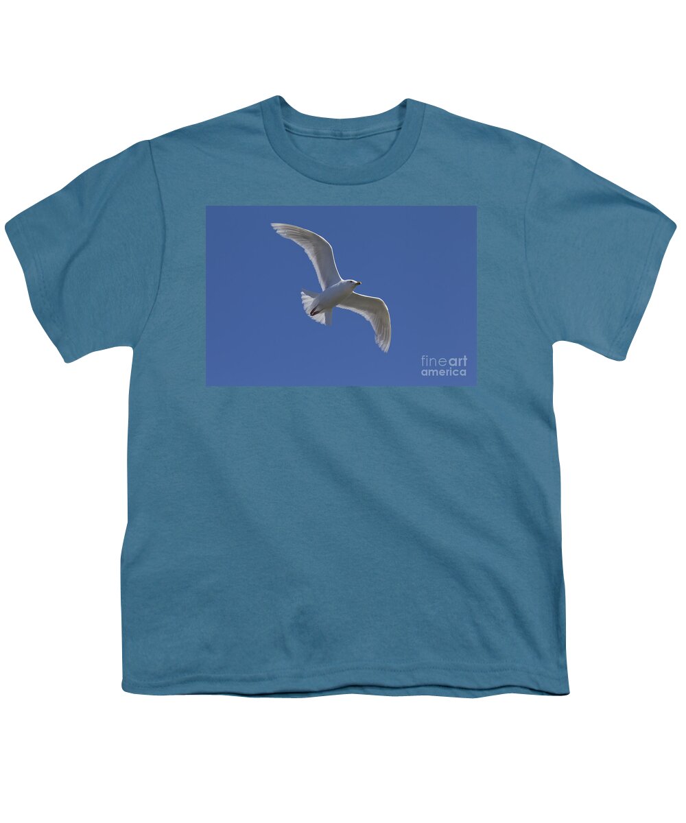 Larus Glaucoides Youth T-Shirt featuring the photograph 101130p135 by Arterra Picture Library