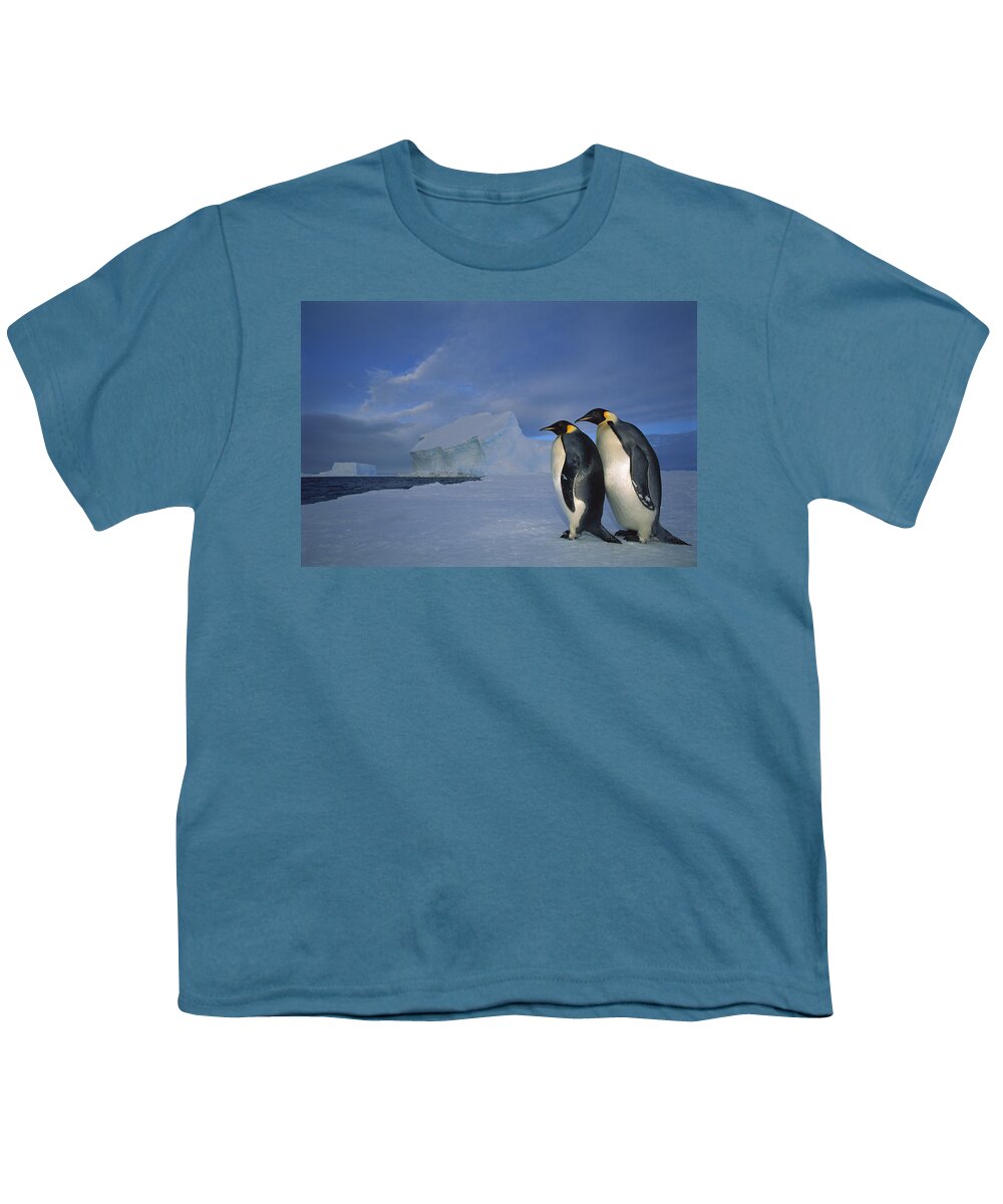 Feb0514 Youth T-Shirt featuring the photograph Emperor Penguins At Midnight Antarctica #2 by Tui De Roy