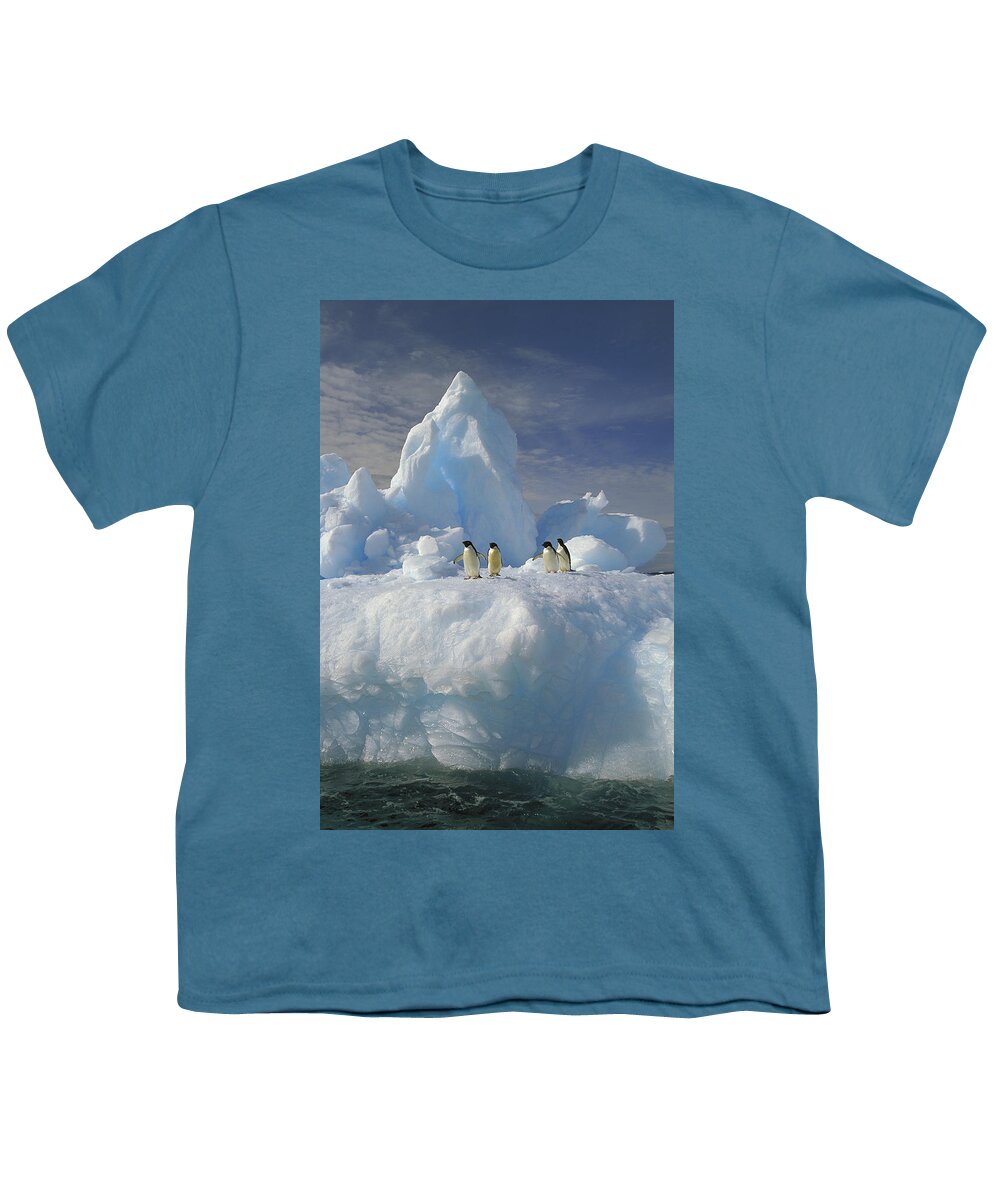Feb0514 Youth T-Shirt featuring the photograph Adelie Penguins On Iceberg Antarctica by Colin Monteath