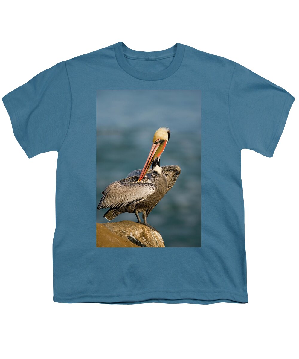 00221346 Youth T-Shirt featuring the photograph Brown Pelican Preening by Tom Vezo
