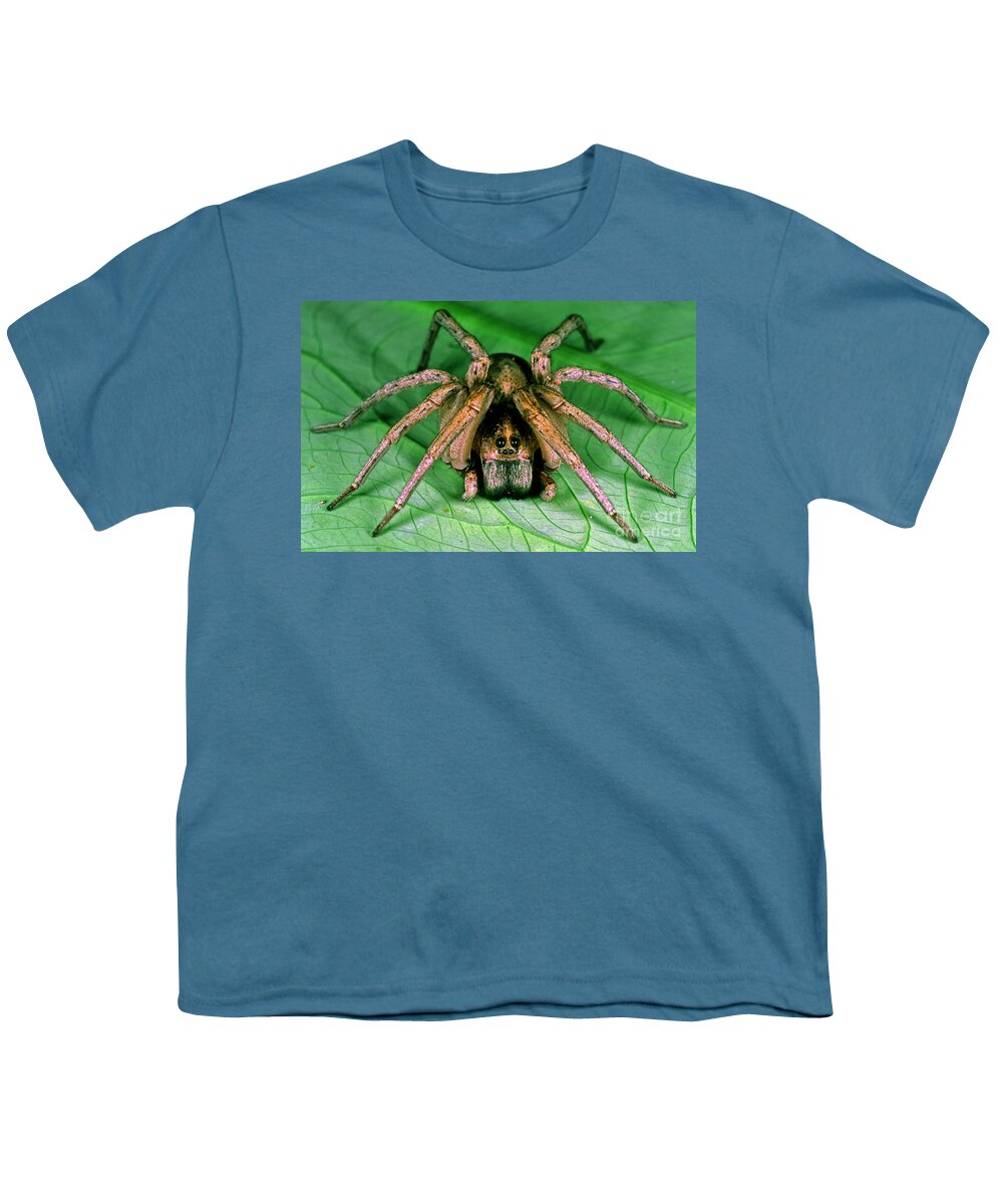 Nature Youth T-Shirt featuring the photograph Carolina Wolf Spider by Millard H. Sharp