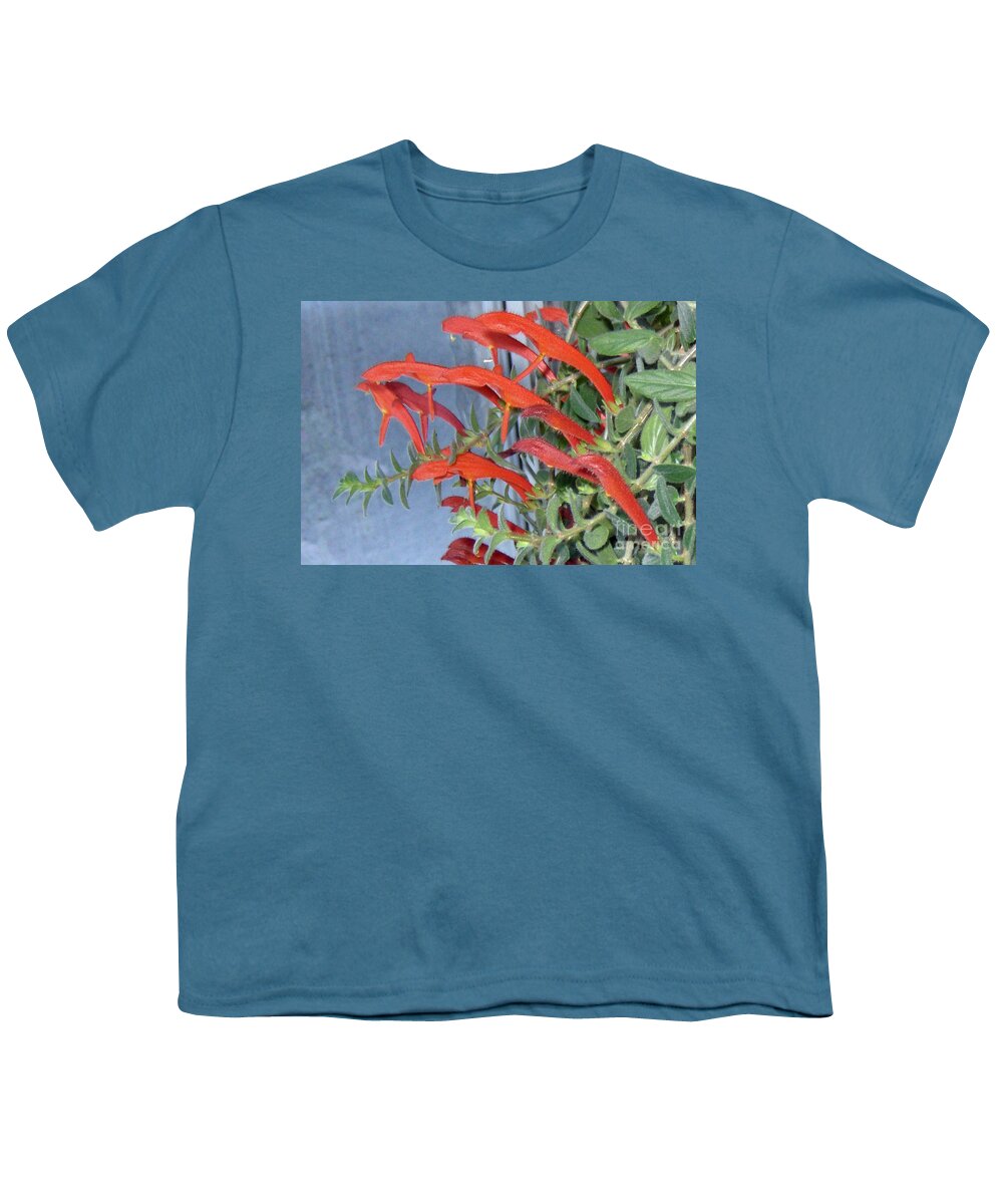 Plant Youth T-Shirt featuring the photograph Dolphin Plant by Brenda Brown