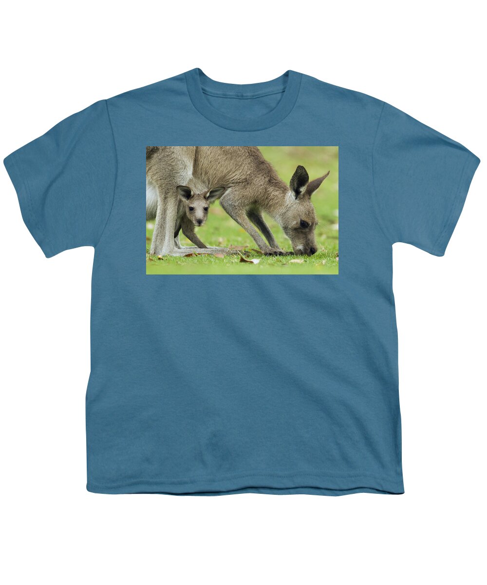 Sebastian Kennerknecht Youth T-Shirt featuring the photograph Eastern Grey Kangaroo Mother Grazing by Sebastian Kennerknecht