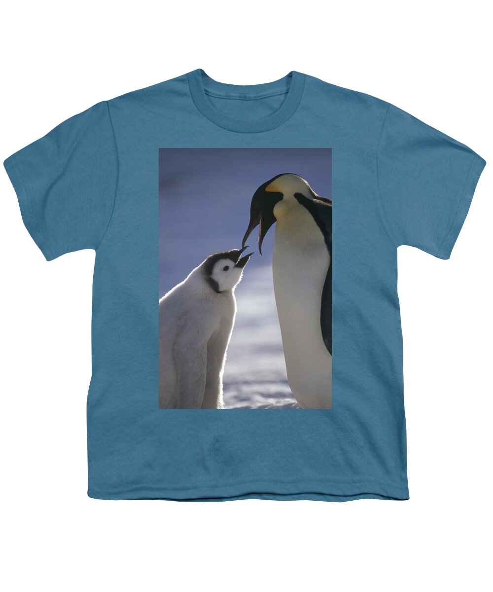 Feb0514 Youth T-Shirt featuring the photograph Emperor Penguin Feeding Chick Antarctica by Tui De Roy