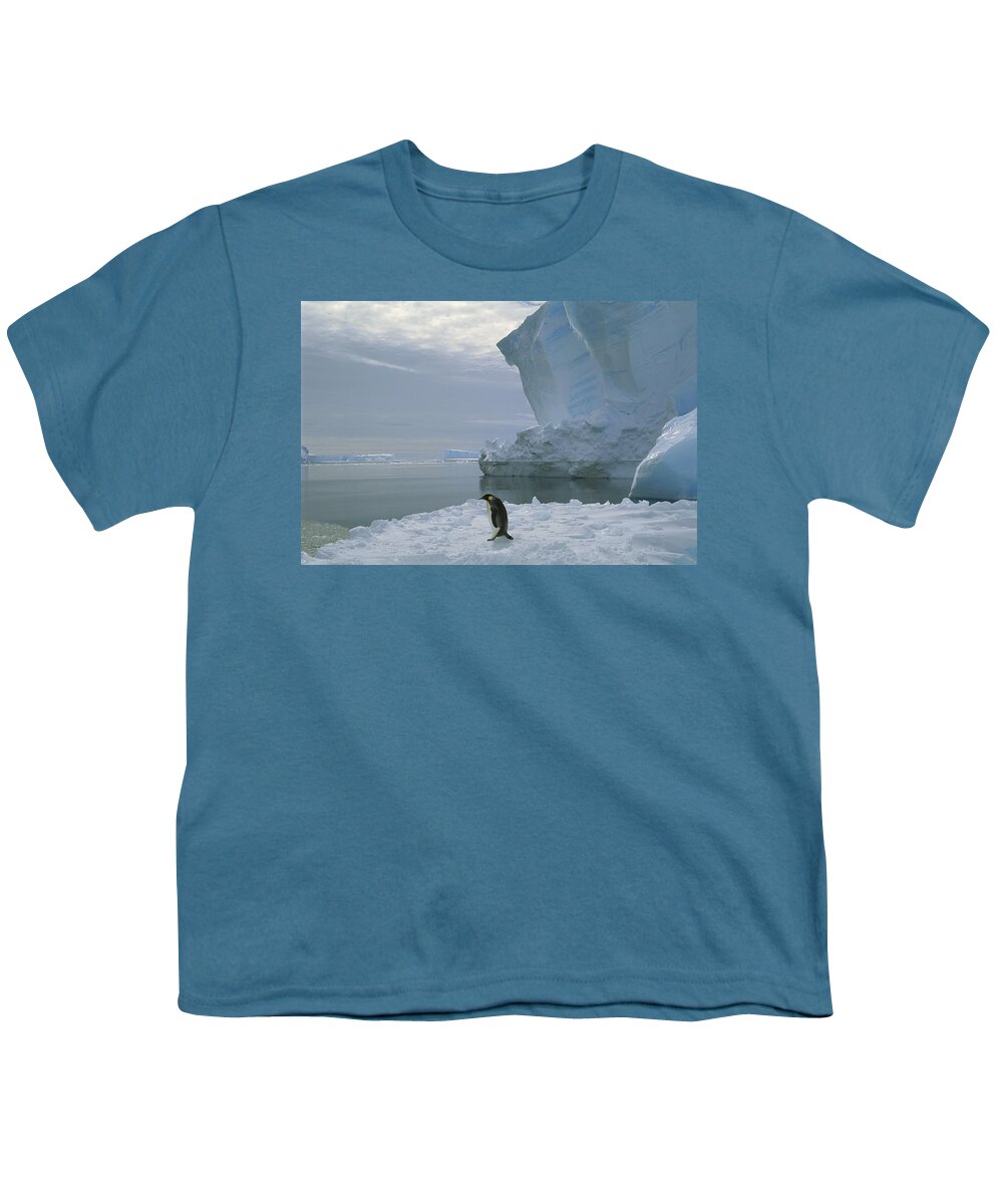 Feb0514 Youth T-Shirt featuring the photograph Emperor Penguin Walking Weddell Sea by Tui De Roy