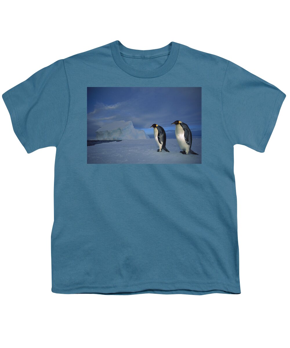 Feb0514 Youth T-Shirt featuring the photograph Emperor Penguins At Midnight Antarctica by Tui De Roy