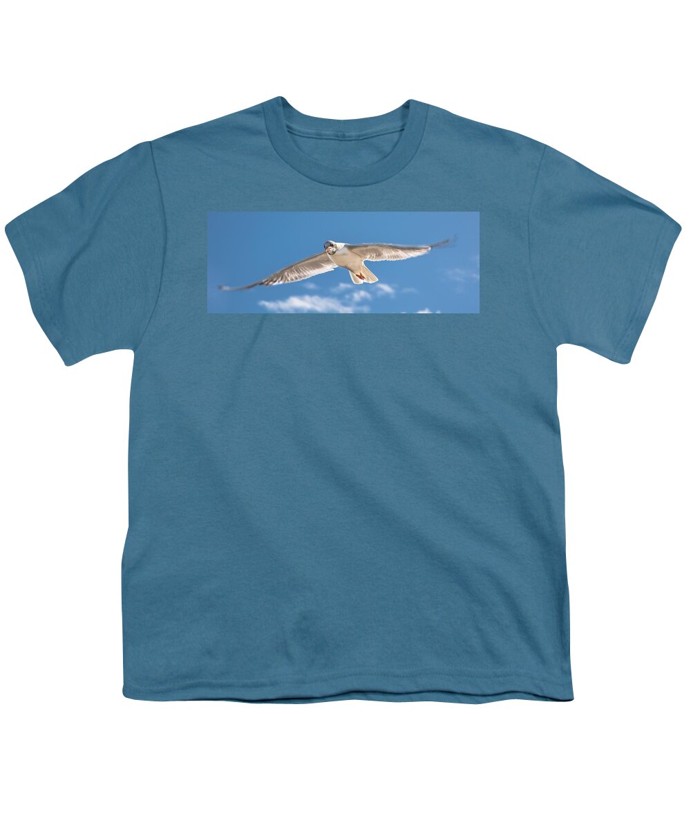 Bird Youth T-Shirt featuring the photograph Feel the Freedom by Andreas Berthold