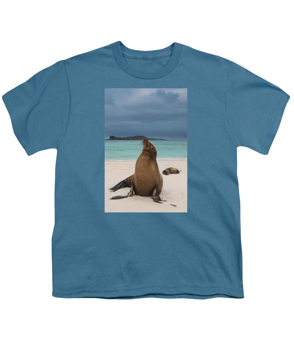 Pete Oxford Youth T-Shirt featuring the photograph Galapagos Sea Lions Gardner Bay by Pete Oxford