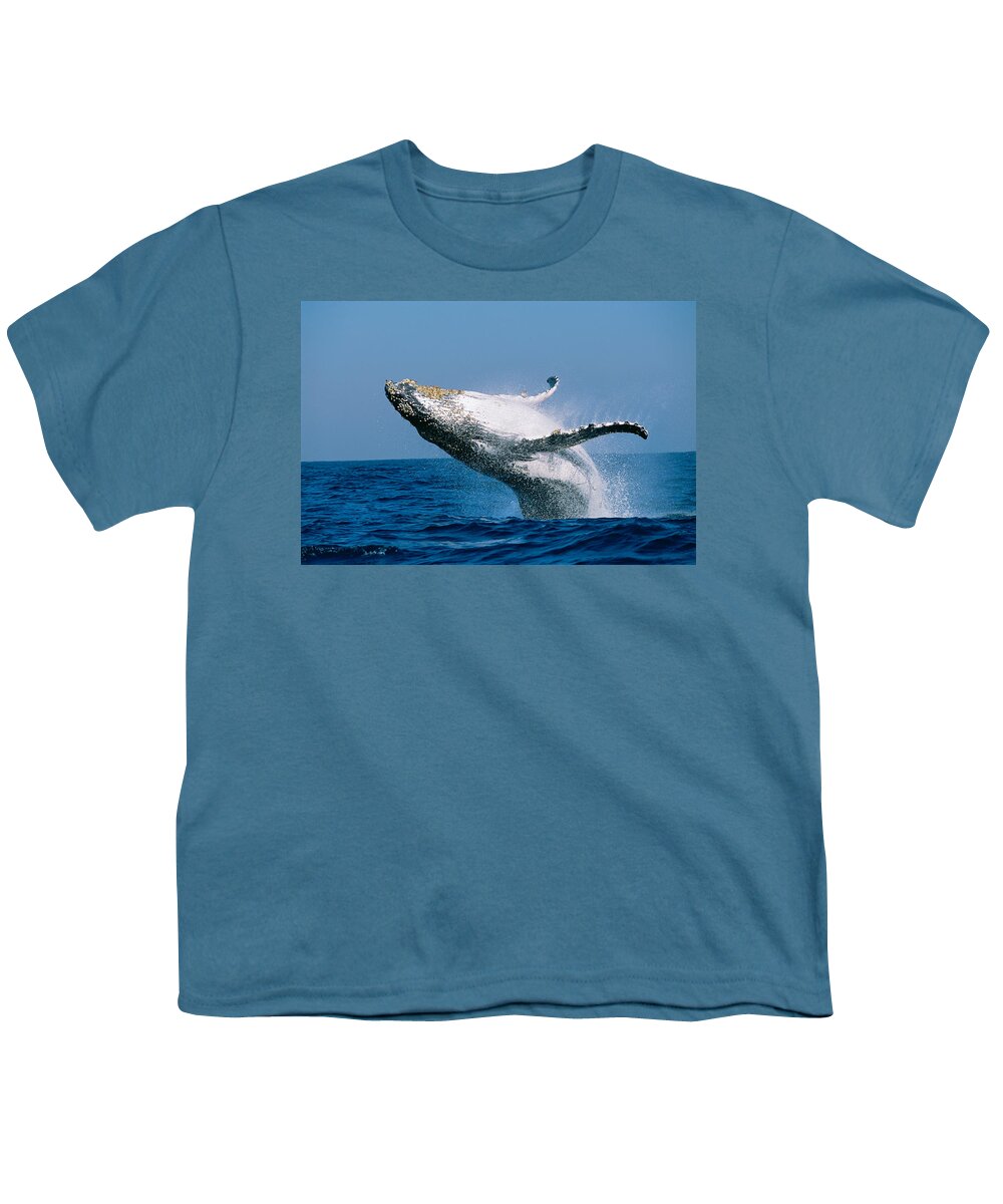 Photography Youth T-Shirt featuring the photograph Humpback Whale Megaptera Novaeangliae by Panoramic Images