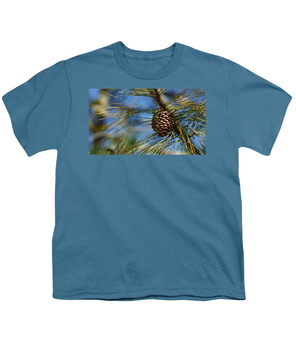 Pine Cones Youth T-Shirt featuring the photograph It's beginning to look a lot like Christmas by Rafael Salazar