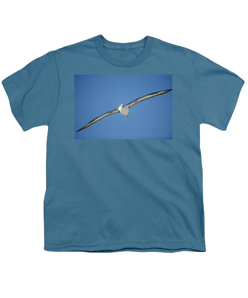 Feb0514 Youth T-Shirt featuring the photograph Laysan Albatross Soaring Hawaii by Tui De Roy