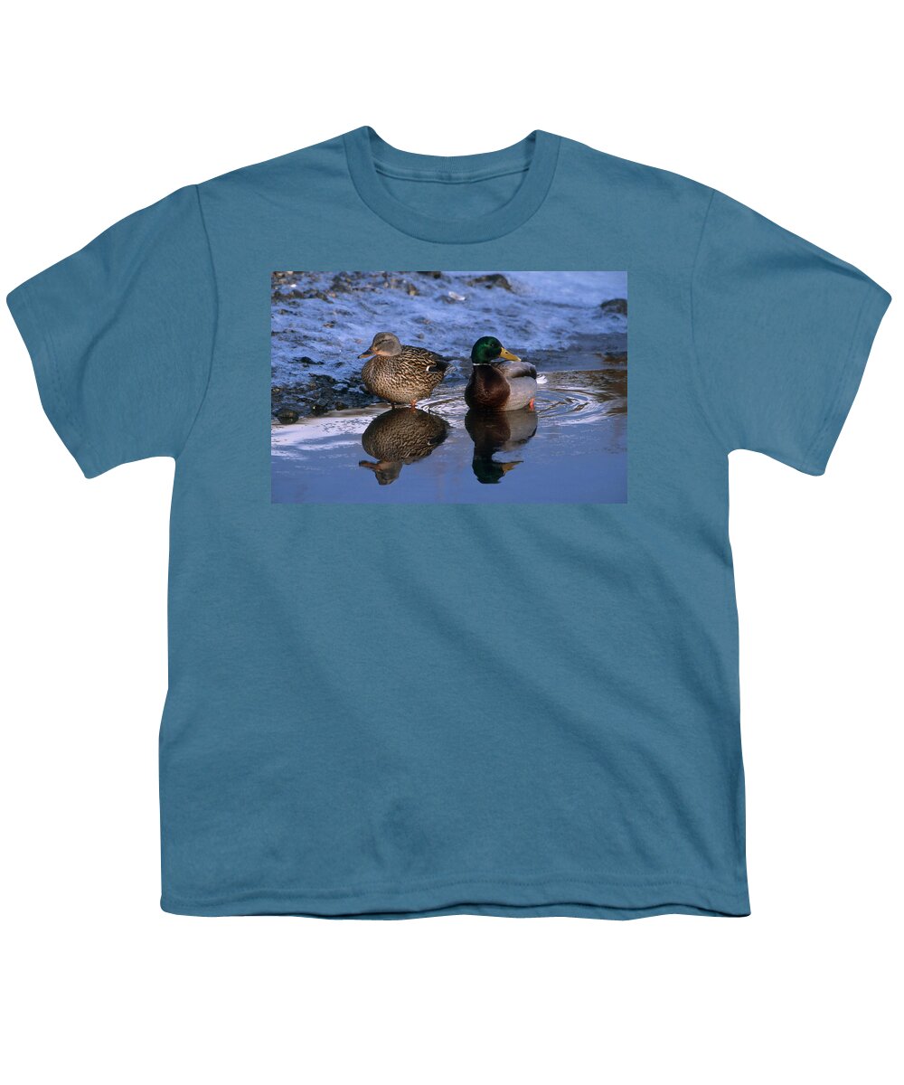 Mallard Duck Youth T-Shirt featuring the photograph Mallard Pair by Paul J. Fusco