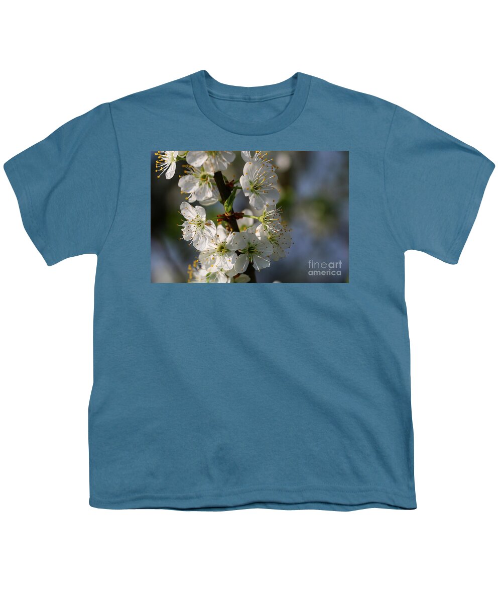 Spring Youth T-Shirt featuring the photograph Pear Blossoms by Amanda Mohler