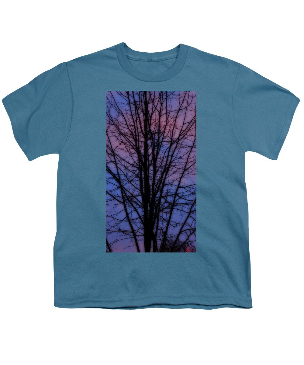 Colette Youth T-Shirt featuring the photograph Pure Nature Magic by Colette V Hera Guggenheim