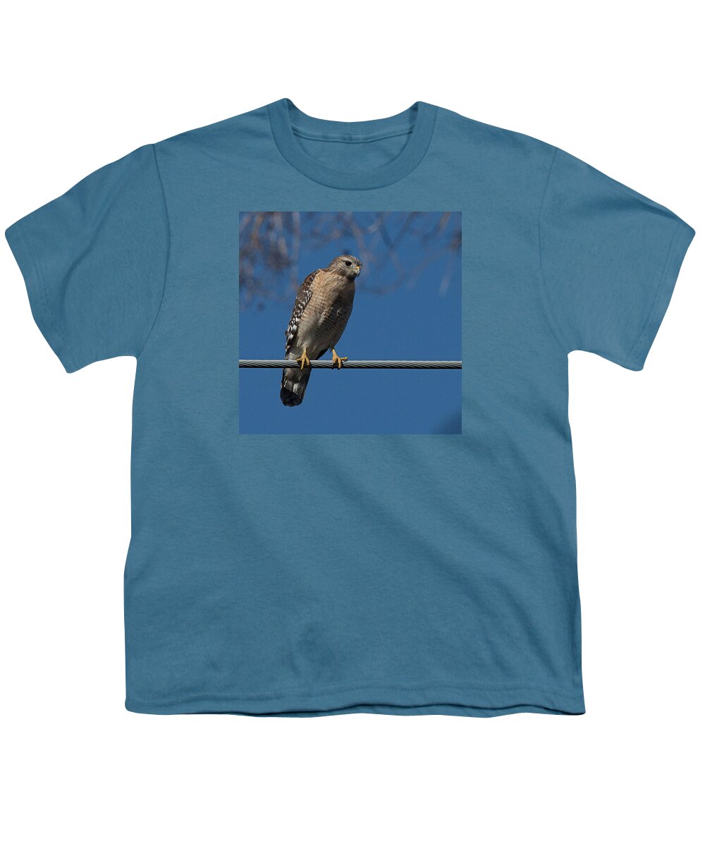 Red Youth T-Shirt featuring the photograph Red-Shouldered Hawk by Richard Goldman