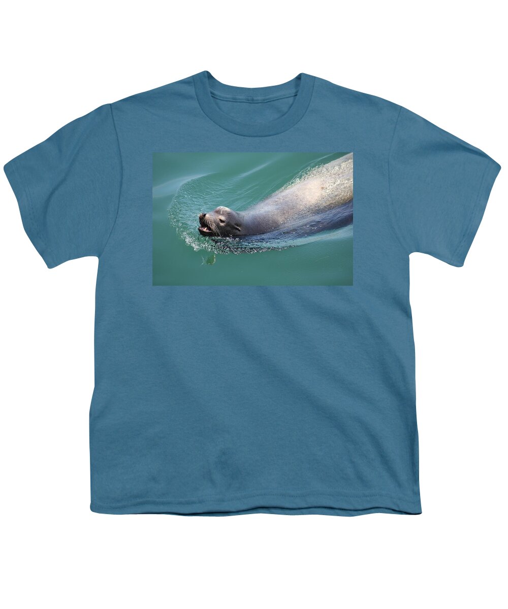 California Youth T-Shirt featuring the photograph Sea lion by Anthony Trillo