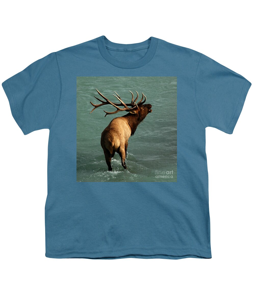 Elk Youth T-Shirt featuring the photograph Sending a Challenge by Vivian Christopher
