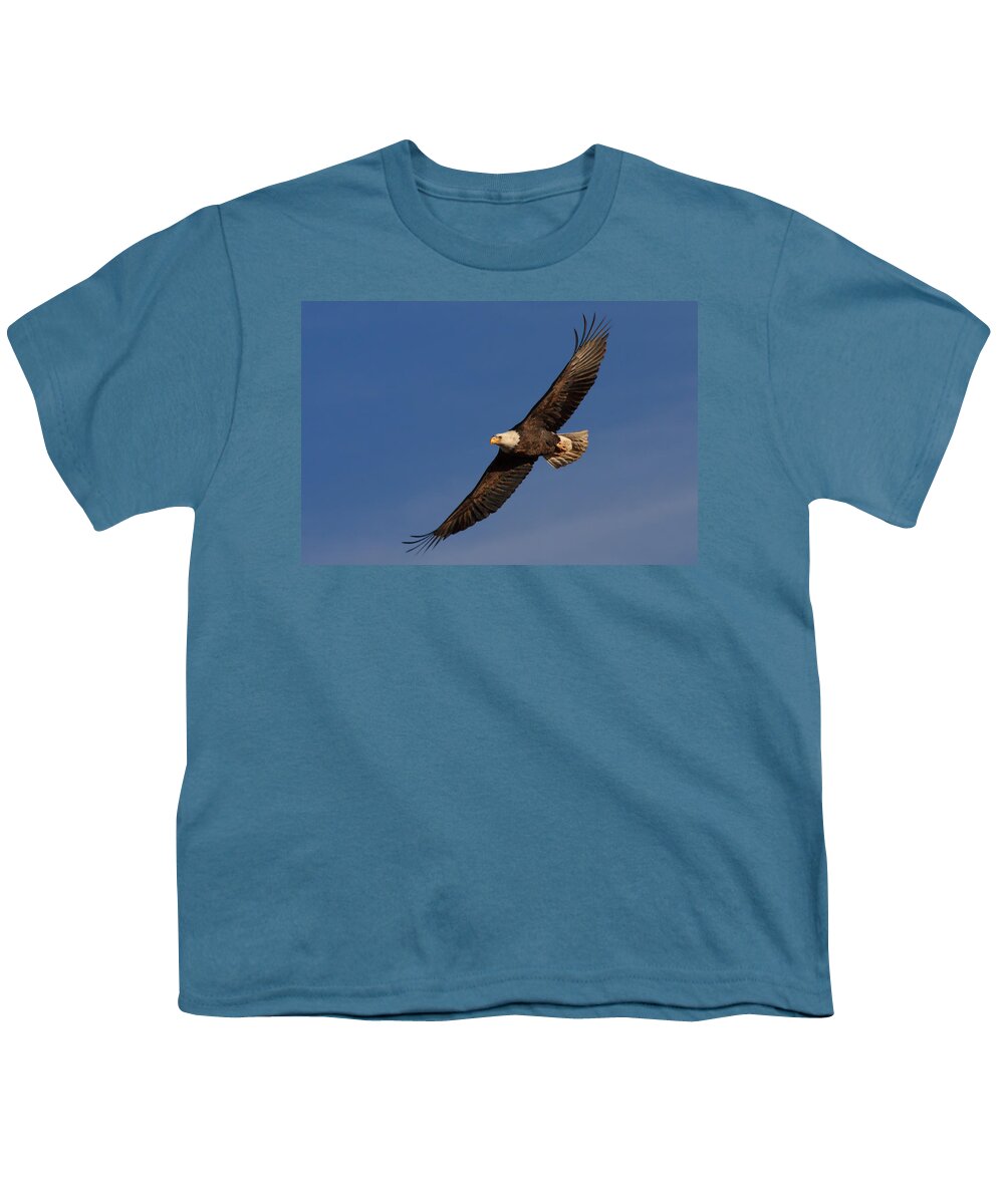 Bald Eagle Youth T-Shirt featuring the photograph Soaring Bald Eagle by Beth Sargent