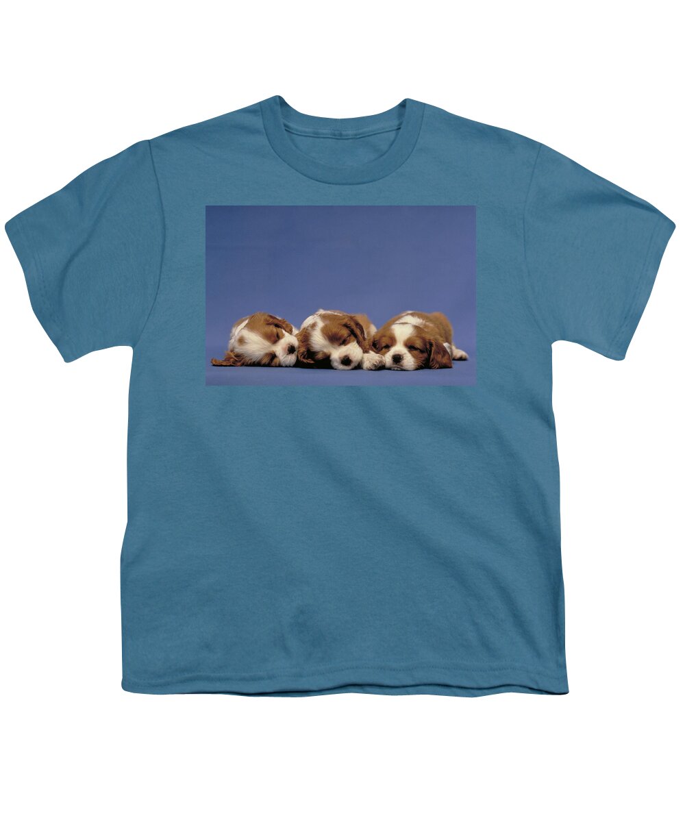 Animal Youth T-Shirt featuring the photograph Spaniel Puppies by Jeanne White