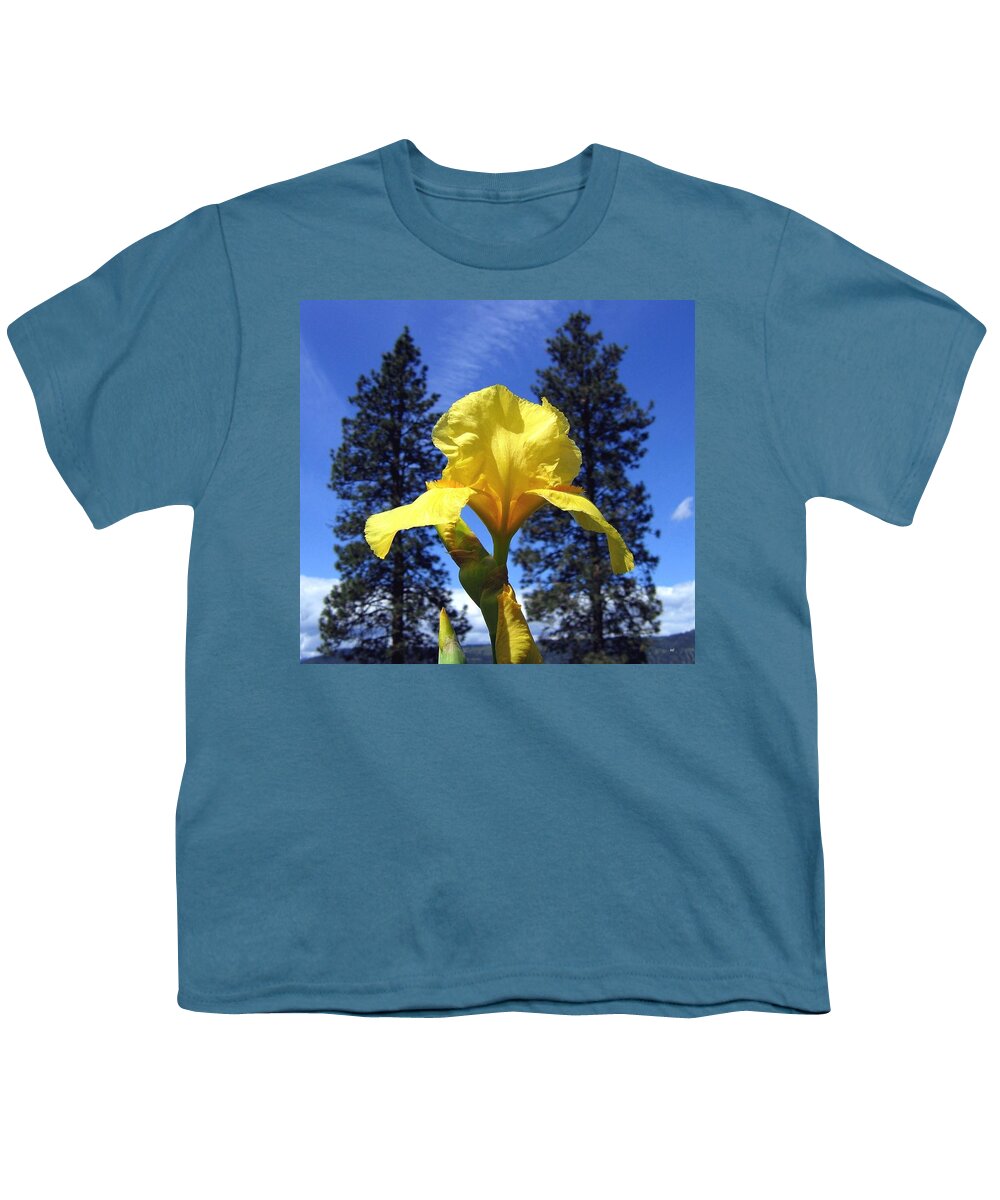 Sunlit Yellow Iris Youth T-Shirt featuring the photograph Sunlit Yellow Iris by Will Borden