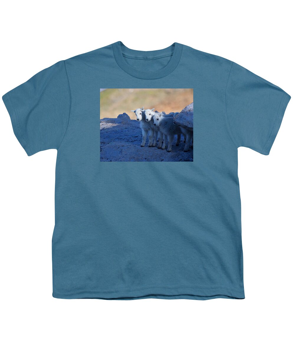 Mountain Goats; Posing; Group Photo; Baby Goat; Nature; Colorado; Crowd; Baby Goat; Mountain Goat Baby; Happy; Joy; Nature; Brothers Youth T-Shirt featuring the photograph Three and One More by Jim Garrison