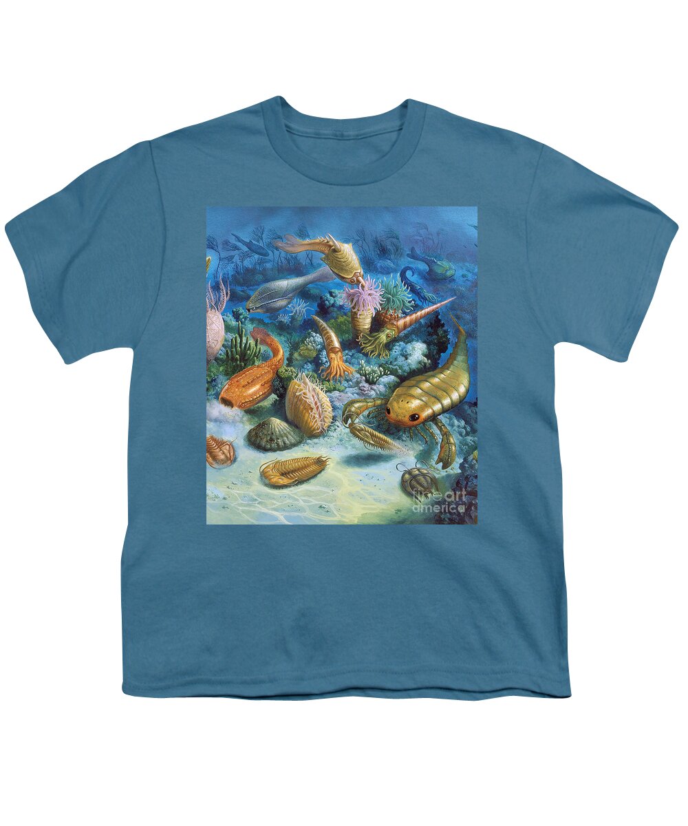 Illustration Youth T-Shirt featuring the photograph Underwater Life During The Paleozoic by Publiphoto