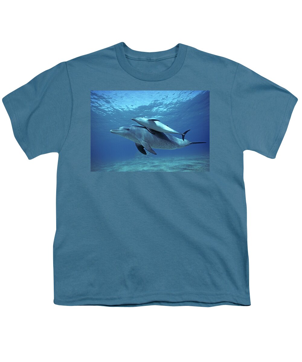 Horizontal Youth T-Shirt featuring the photograph Wild Bottlenose Dolphins Mother & Calf by Jeff Rotman