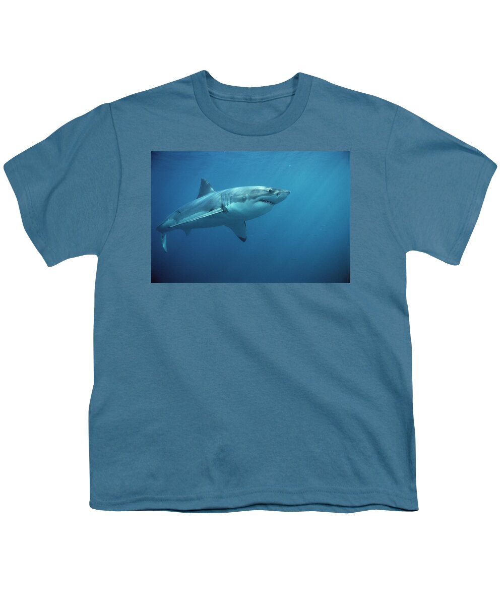 Mp Youth T-Shirt featuring the photograph Great White Shark Carcharodon #3 by Mike Parry