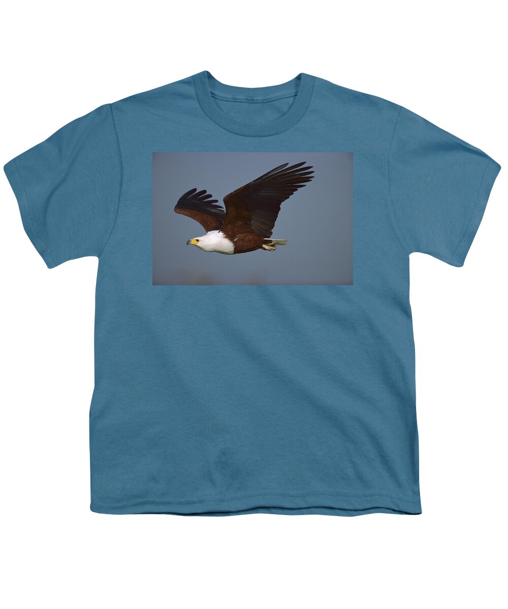 Mp Youth T-Shirt featuring the photograph African Fish Eagle Haliaeetus Vocifer by Richard Du Toit
