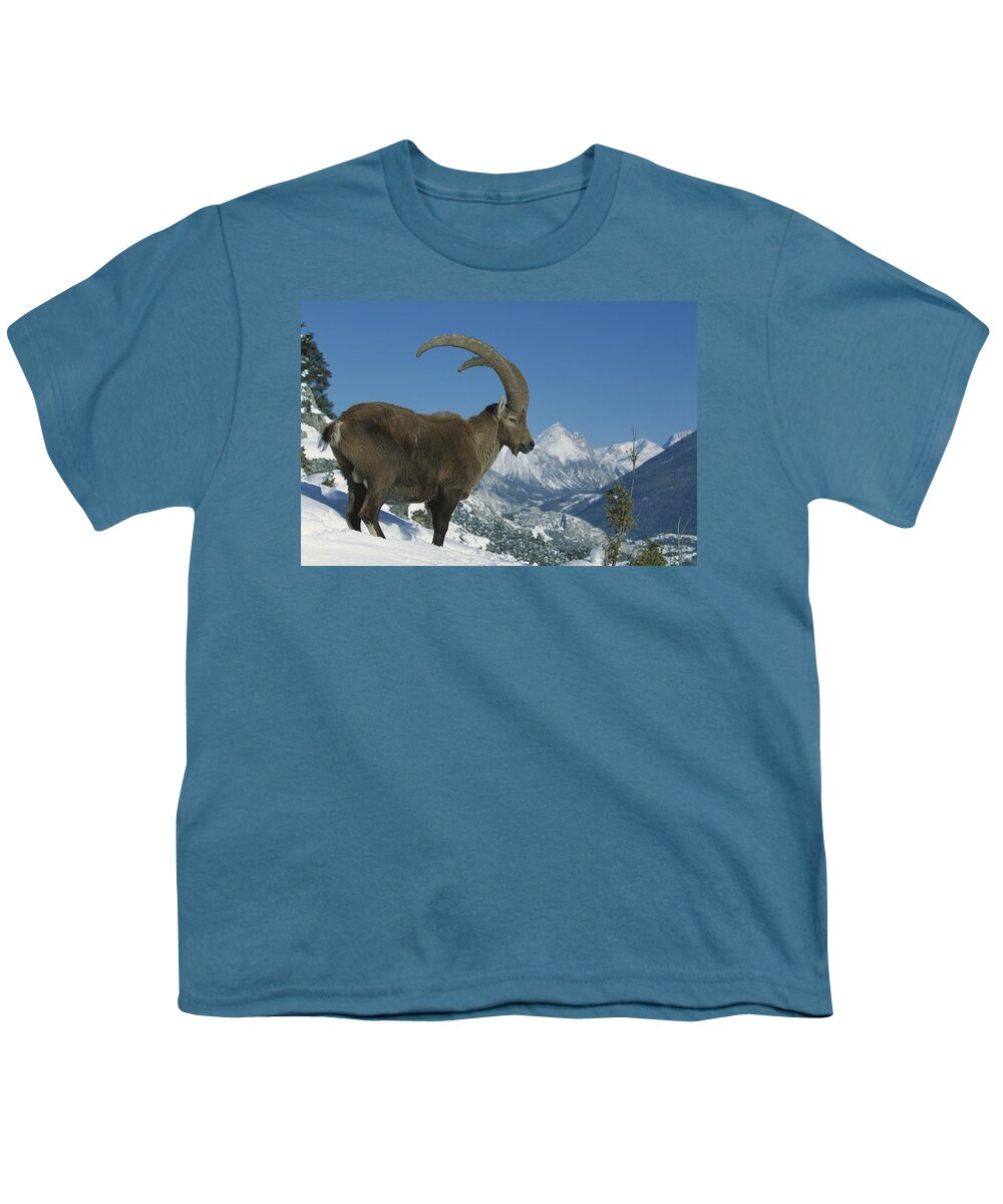 Mp Youth T-Shirt featuring the photograph Alpine Ibex Capra Ibex Adult Male by Cyril Ruoso