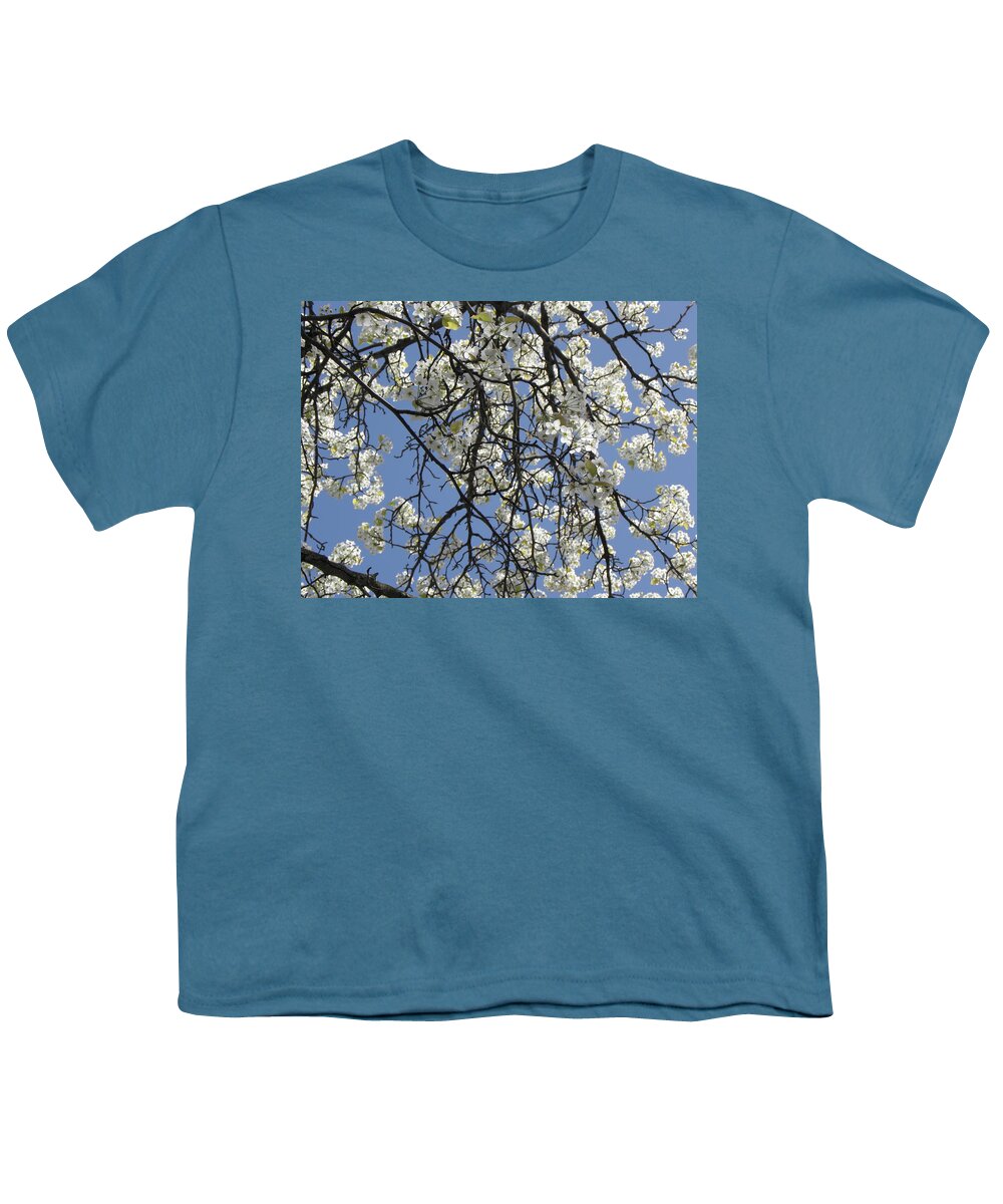 Cherry Blossom Youth T-Shirt featuring the photograph Cherry Blossoms by Kim Galluzzo