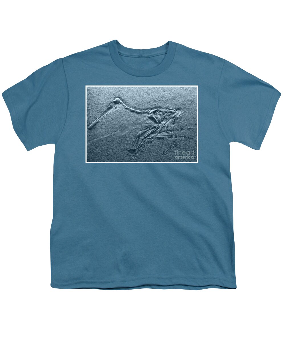 Jurassic Youth T-Shirt featuring the photograph Fossils - Pterosaurs by Heiko Koehrer-Wagner