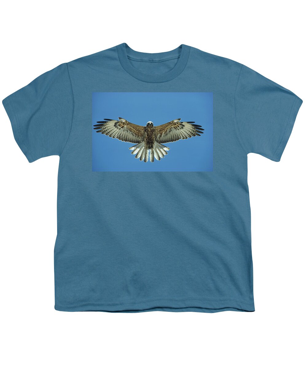 Mp Youth T-Shirt featuring the photograph Galapagos Hawk Buteo Galapagoensis by Tui De Roy