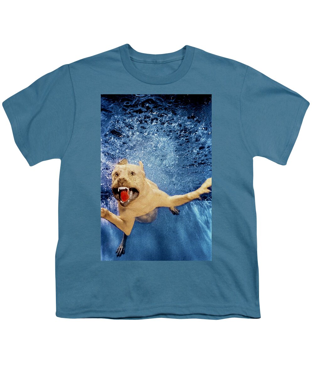 Dog Youth T-Shirt featuring the photograph Getting Closer by Jill Reger