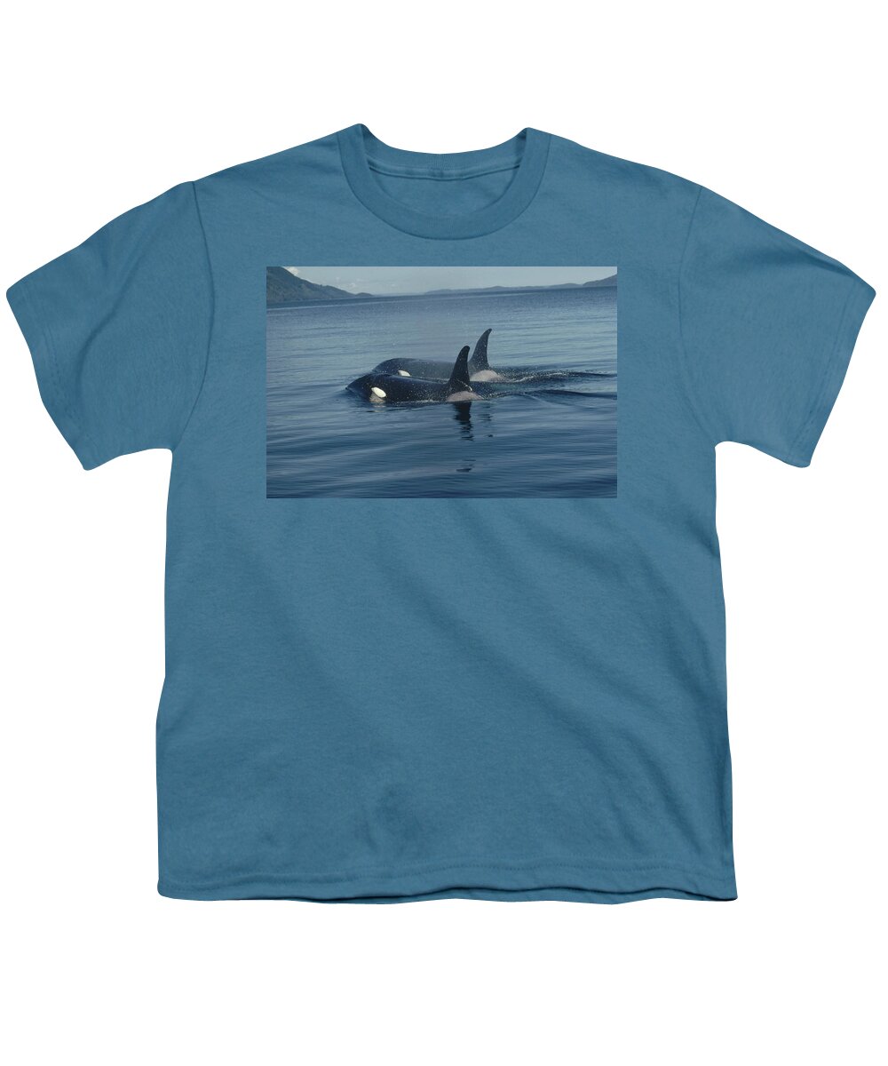 00079374 Youth T-Shirt featuring the photograph Orca Pair Surfacing British Columbia by Flip Nicklin