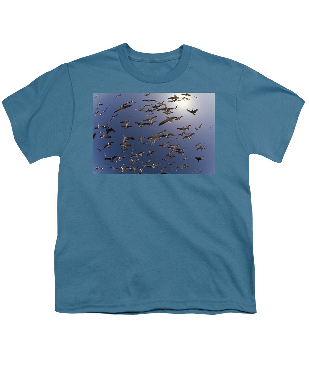 00173354 Youth T-Shirt featuring the photograph Western Gull Flock Flying North America by Tim Fitzharris