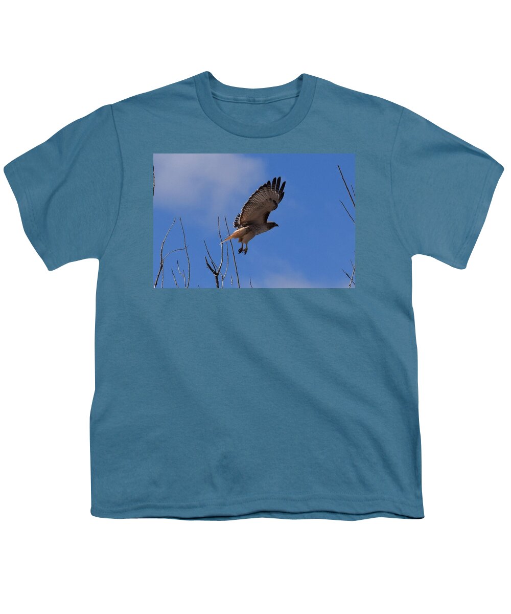 Hawk Youth T-Shirt featuring the photograph Red Tail Hawk Female Tower Rd Denver #1 by Margarethe Binkley