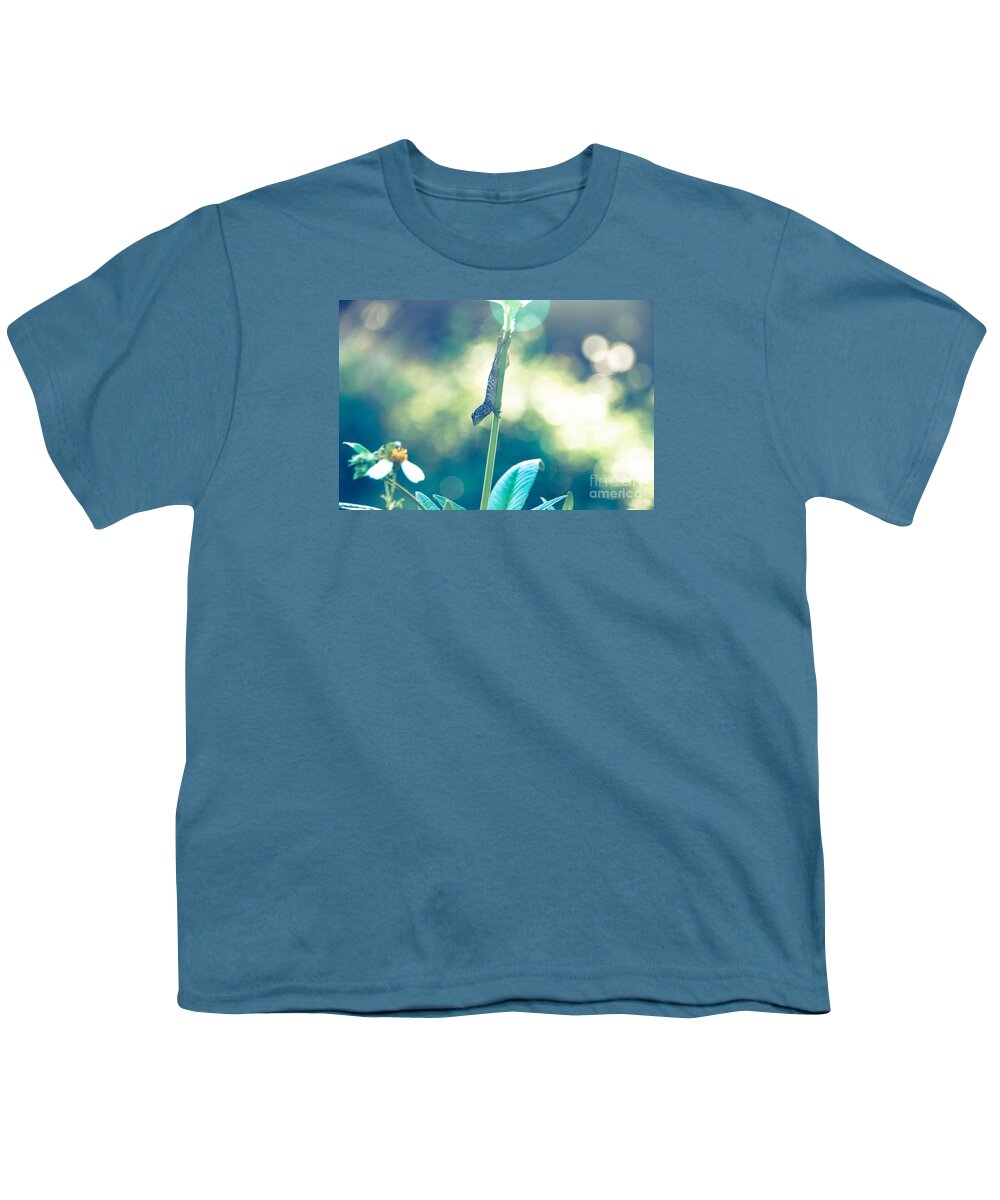 Animal Youth T-Shirt featuring the photograph Suspended headlong lizard #1 by Amanda Mohler