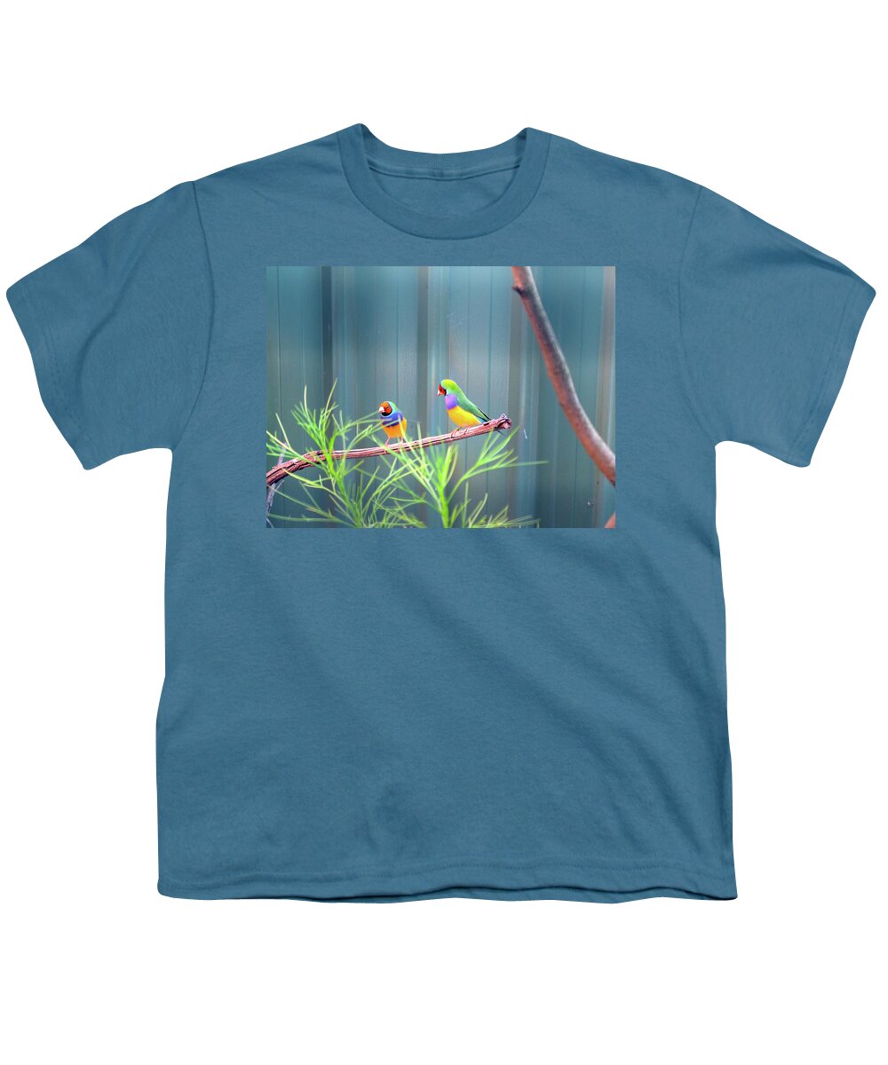 Lovebirds Youth T-Shirt featuring the photograph Aussie Rainbow Lovebirds by Kathy Corday