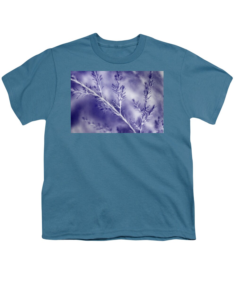 Pine Youth T-Shirt featuring the photograph A Blue Mood by Mike Eingle