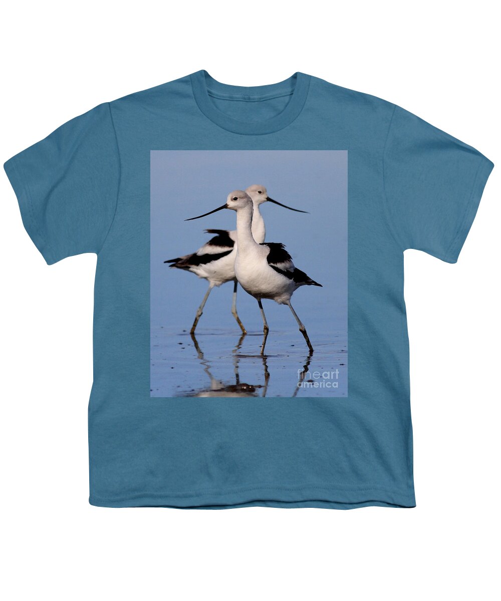 Bird Migration Youth T-Shirt featuring the photograph American Avocet Ballet . 7D4855 by Wingsdomain Art and Photography