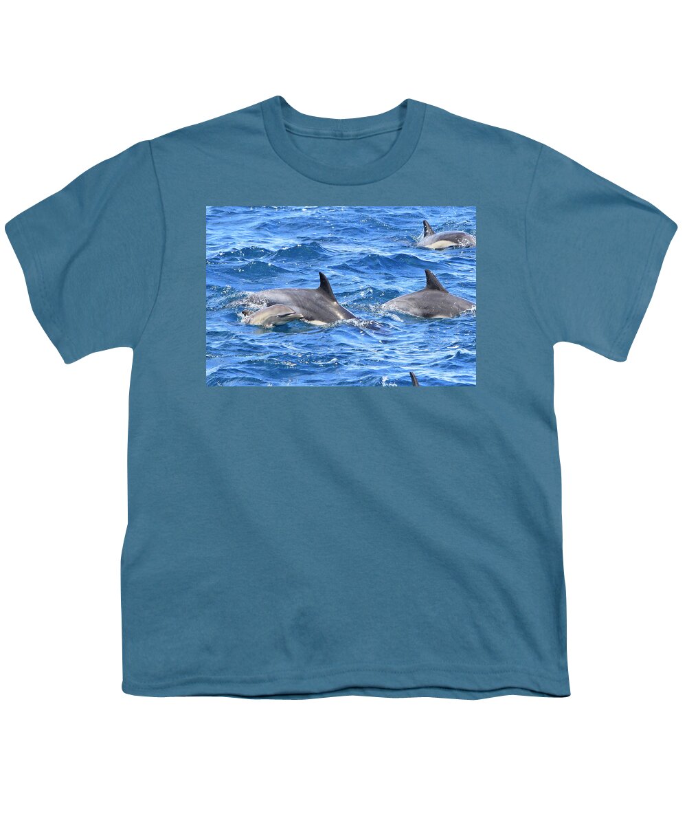 Dolphin Youth T-Shirt featuring the photograph Baby Common Dolphin by Shoal Hollingsworth