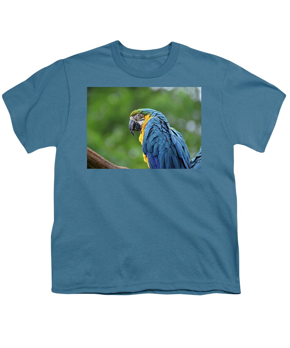 Macaw Youth T-Shirt featuring the photograph Blue Macaw by Ronda Ryan